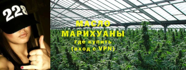 сатива Бронницы