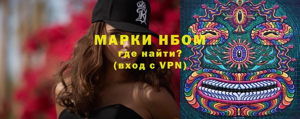 сатива Бронницы