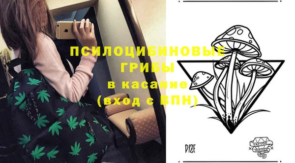 ПСИЛОЦИБИНОВЫЕ ГРИБЫ Бугульма