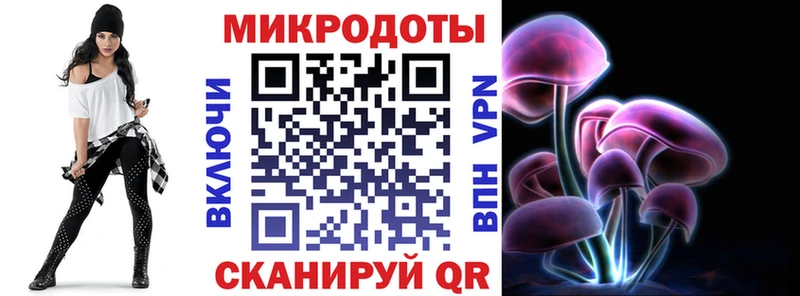 цена   Кирс  Псилоцибиновые грибы Cubensis 
